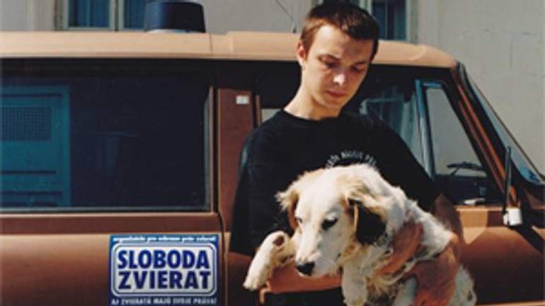 Magistrát zlyhal, tri dni nebol odchyt túlavých mačiek a psov - Odchyt zvierat