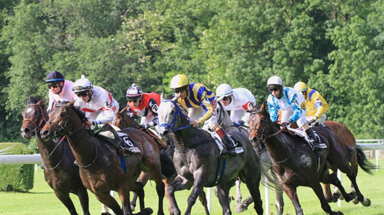 Slovenský st. leger pre oriental sky - dostihy3