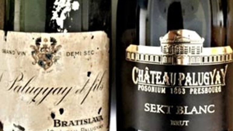 Palugyayovci boli svetoví, ale aj prešporskí - Palugyay 23