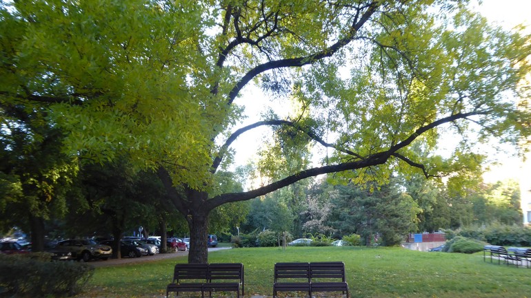 Parčík Záhradnícka- Jégeho
