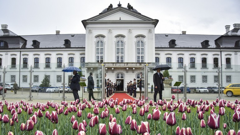 Tulipány vysadené v Prezidentskej záhrade