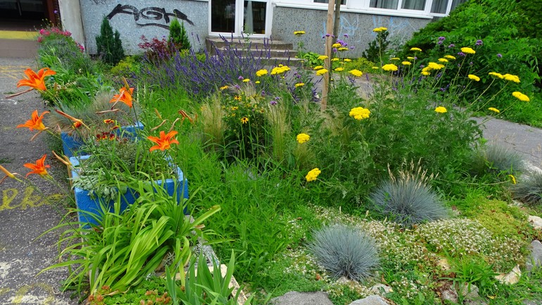 Adoptuj si kvetináč