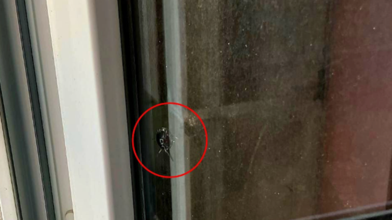 Polícia našla otvor v okne.