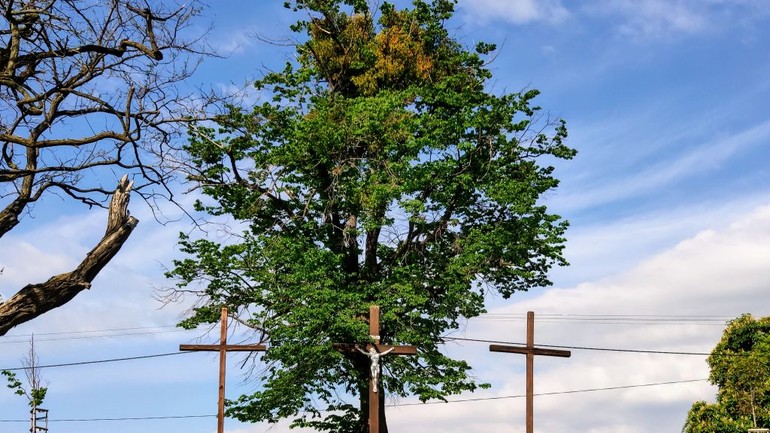 Kalvária pri Pustom kostolíku