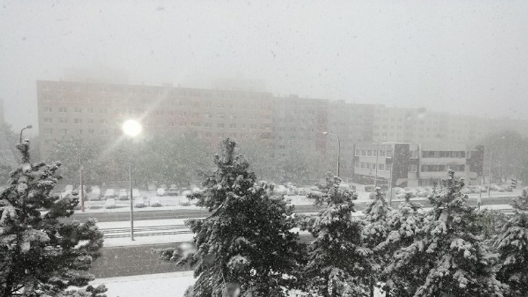 Video a foto: sneženie dva dni po veľkonočnom pondelku bratislavčanov zaskočilo - Dubravka sneh