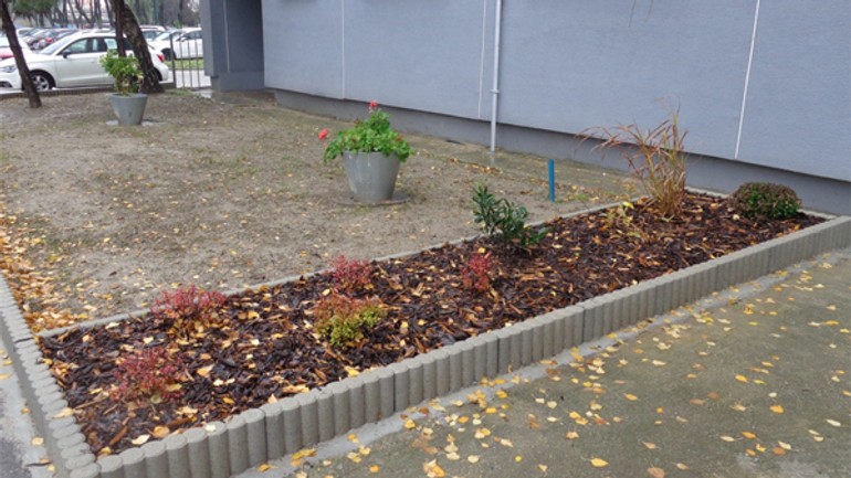 Predzáhradky si skrášlia z konta zelene - predzahradka1