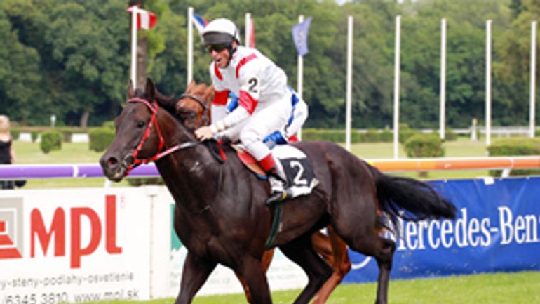 V sobotu 22. júna bude závodisko patriť deťom - dostihy4