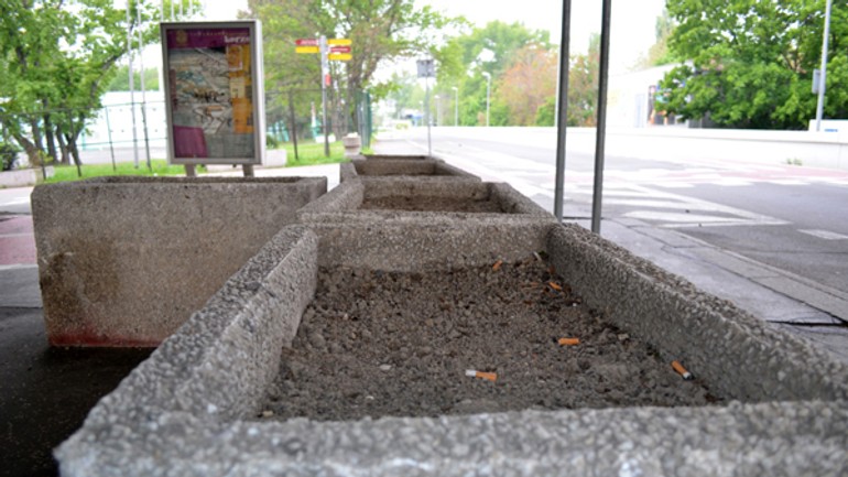 Kvetináče so včelami nepatria zrejme nikomu - diery_vcely5