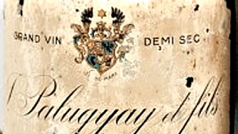 Z miestneho vinára najväčší vývozca vína - Palugyay 16