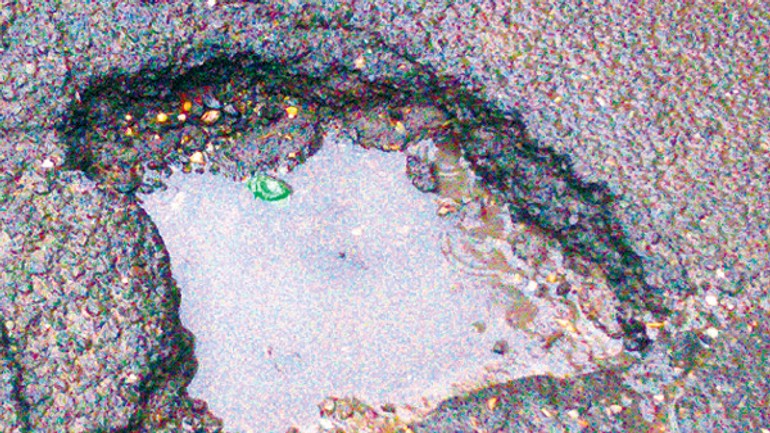 Bratislavské výtlky si žijú vlastný život - vytlk1