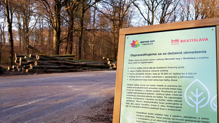 tazba dreva mestske lesy.jpg