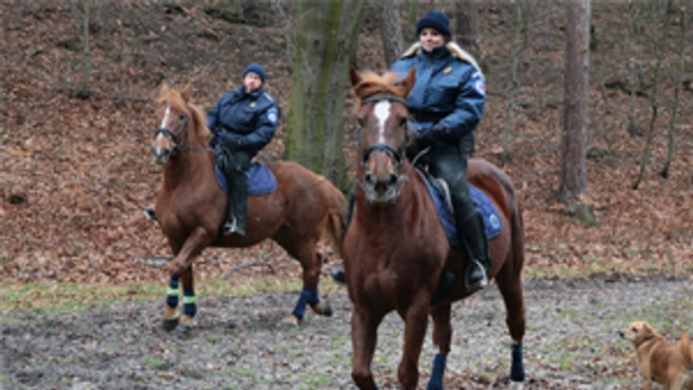 Bezpečnosť v uliciach zvýši jazdecká hliadka mestskej polície - mestska_policia_kone