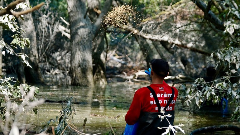 Zásahy larvicídom BTI