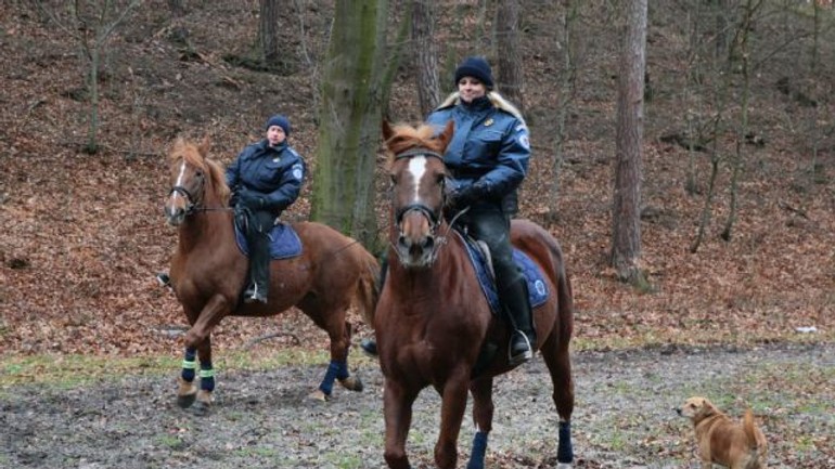 Mestskí policajti hliadkujú na koňoch už aj v sade janka kráľa - kone_policia