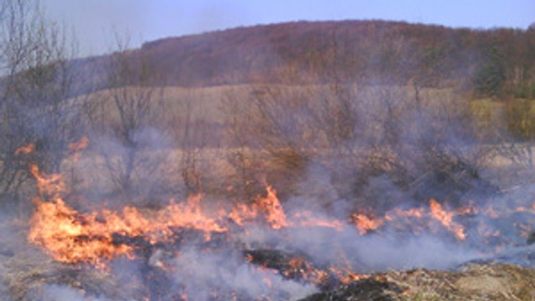 Tráva sa vypaľovať nesmie, je to protizákonné - trava_vypalovanie