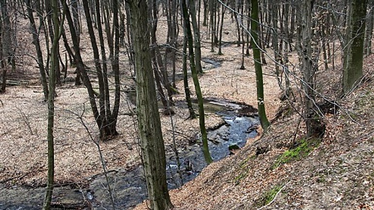 Vedia úradníci o čudnej chate pri vydrici? - vydrica