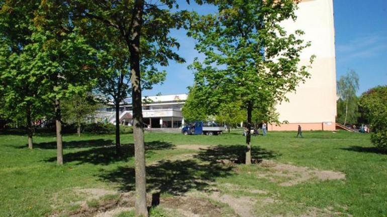 Stromy iba presadili, ale nevyrúbali - dubravka_strom