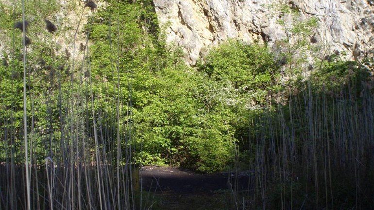 Problém gudrónov v devínskej rieši aj nový minister - gudrony_devinska