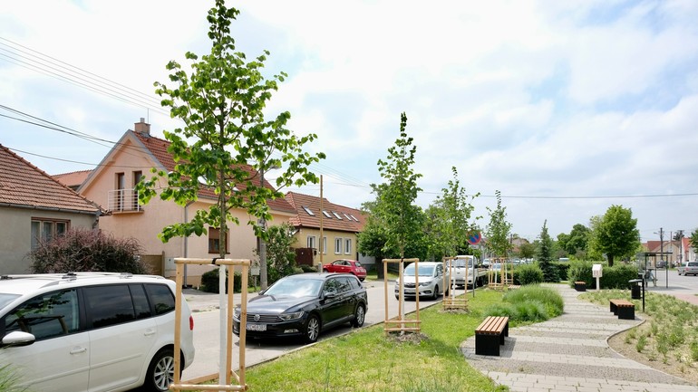 výsadba hlavné mesto