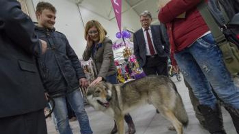 Na slovenské plemená psov bola zvedavá aj ministerka pôdohospodárstva - t_20170218_vystava_psov_15406206