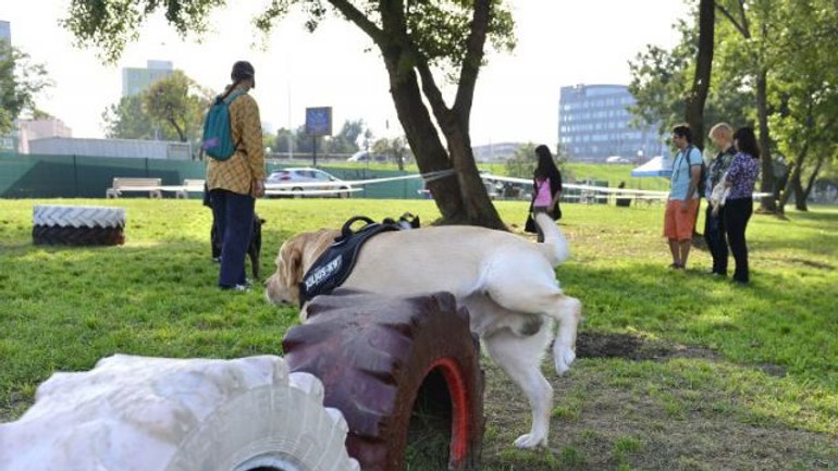 Ďalší nový výbeh na 23 ároch pre psov v petržalke bude pri panónskej - psipark