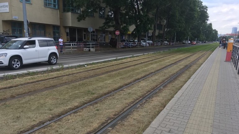 Trávnik na Ružinovskej radiále