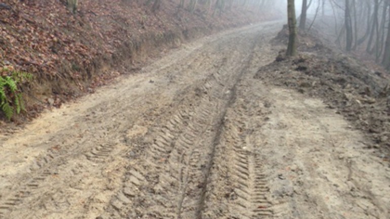 Návštevníci lesoparku sa sťažovali na výrub - lesopark_blato1