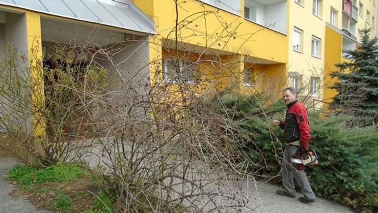 Foto: jarné práce pokračujú: v karlovke maľujú školu, orezávajú kríky - 5