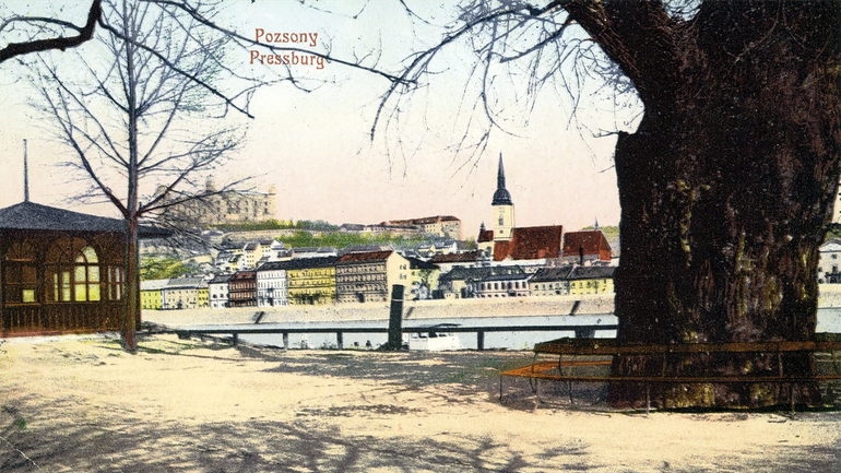 "Napoleonov strom" na Tyršovom nábreží