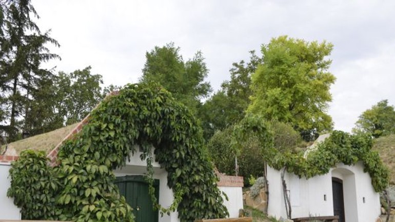 Začína sa festival vínnych pivníc - keller