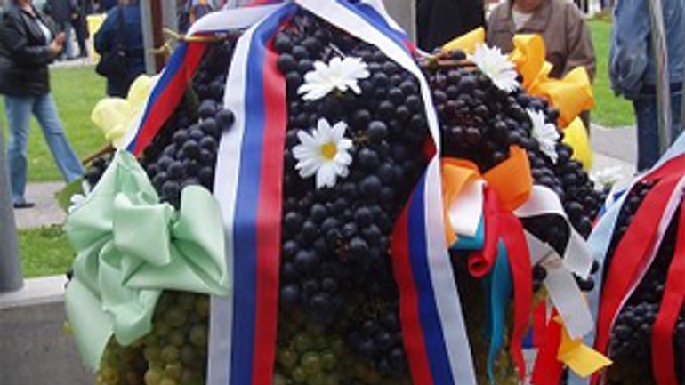 Karloveské hody 2011 - Karloveske hody