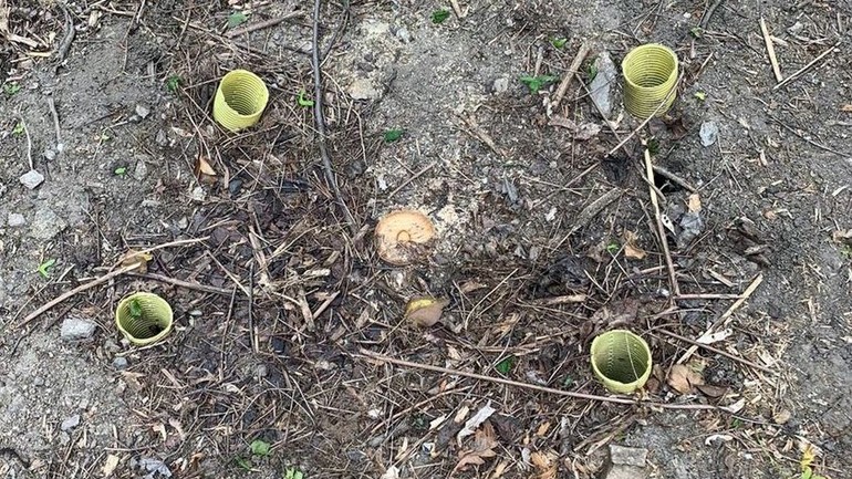 spílenie dubov v Horskom parku