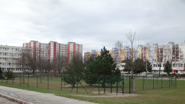 Psy dostali na holíčskej park, ich majitelia zas dostanú vrecká - vybeh_holicska1