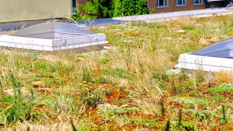 Mesto vytvorilo prvú zelenú strechu. kde ju nájdete? - foto7