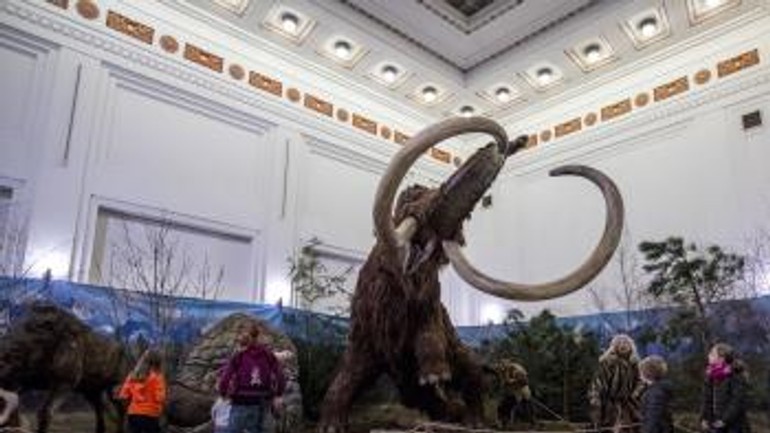 Foto: aj takto prázdninovali bratislavské deti - t_23022017prazdniny_jarne1407723