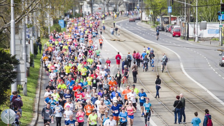 Devín - Bratislava: Bežci na trati tesne pred cieľom