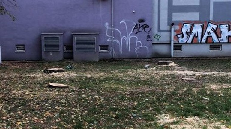 Vyrúbané stromy pri Bernoláku