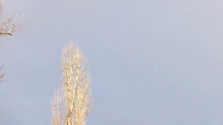 Foto: bratislavčania boli očarení dvojitou dúhou – aj vám sa ju podarilo odfotiť? - FB_IMG_1489139191016