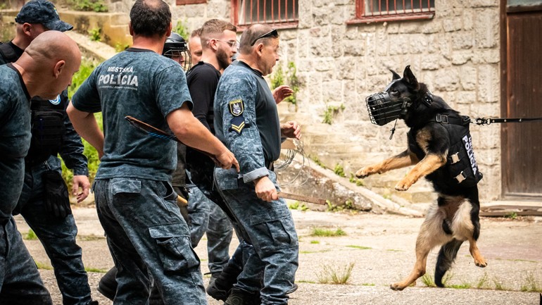 Mestská polícia