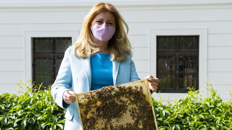 Zuzana Čaputová - včelí úľ