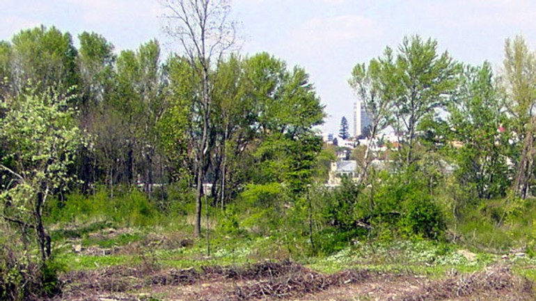 Petržalka nesúhlasí, aby sa s pečnianskym lesom kšeftovalo - pecniansky