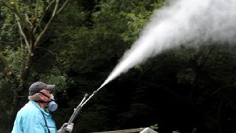 Račania súhlasia so starostom a pesticídový postrek nechcú - komare_postrek1