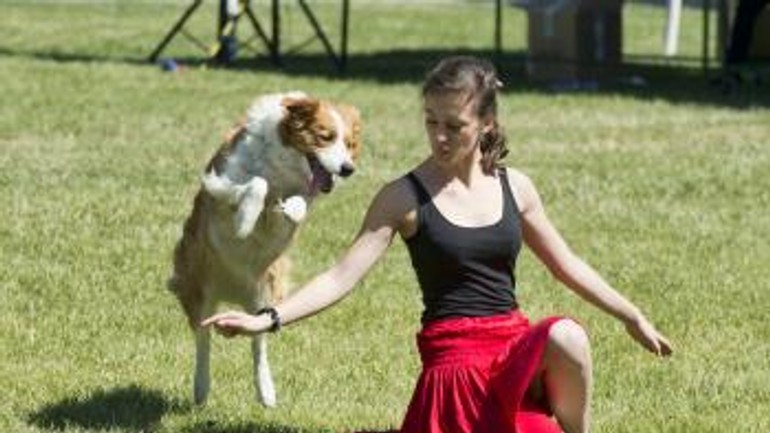 Foto: dostihovú dráhu obsadili cez víkend športujúci psi - t_20170528dogdays7432758