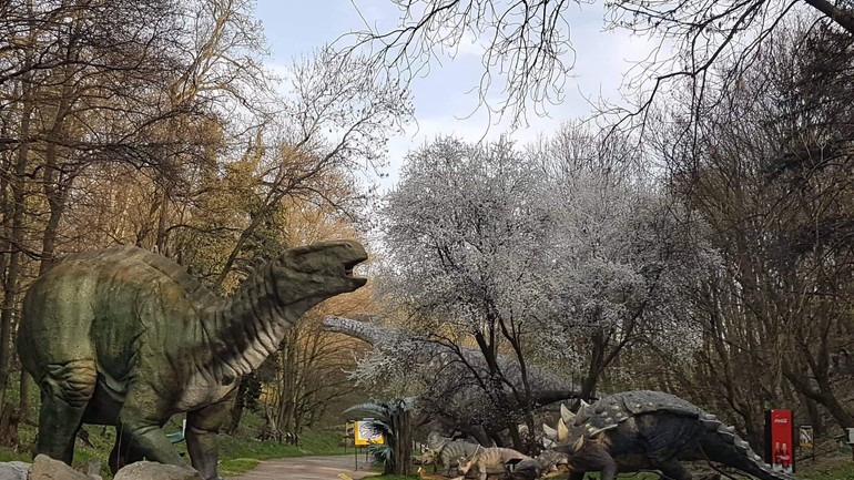 Dinopark 