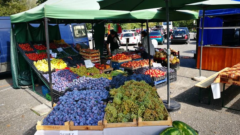 Vinobranie v Devíne