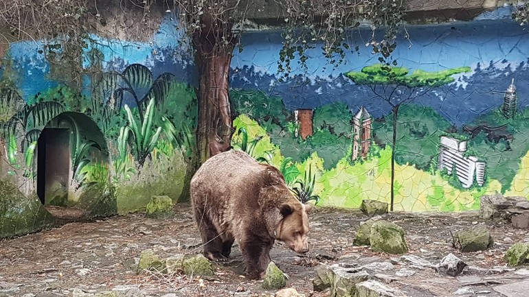 Zoologická záhrada vo februári 2019