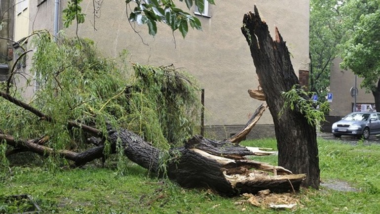 Silný nočný vietor narobil v bratislave rozsiahle škody! - Polamany strom