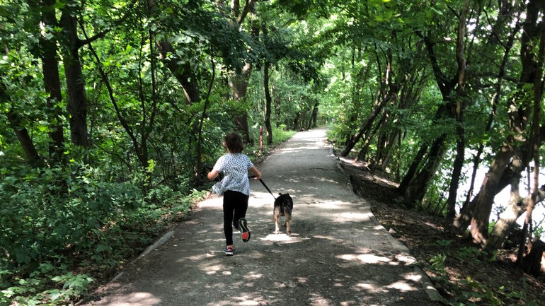 venčenie Sloboda zvierat