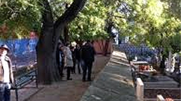 Stromy padnú, dopredu ich označia za choré - raca_cintorin