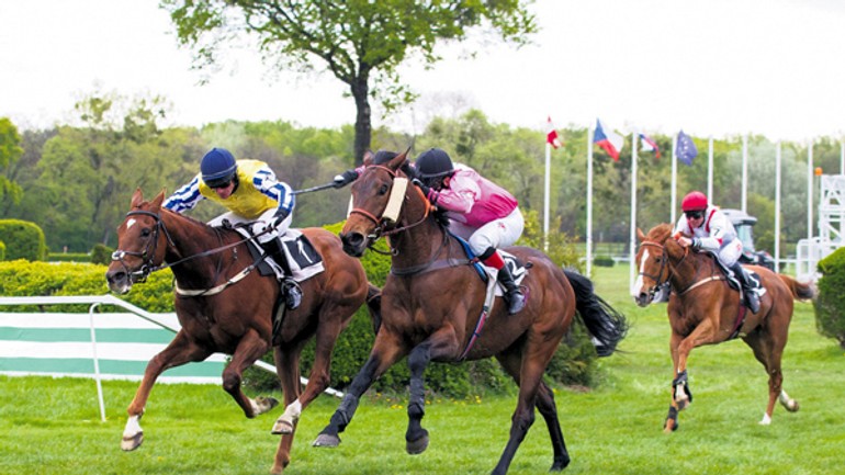 Cenu bratislavských novín vyhral hnedák vive paolo - Dostihy1